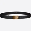 DIOR D-FENCE BELT