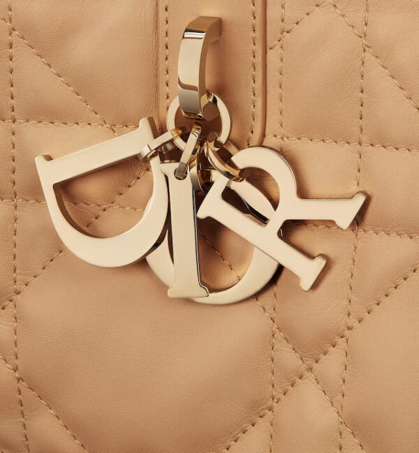 LARGE DIOR TOUJOURS BAG - Image 6