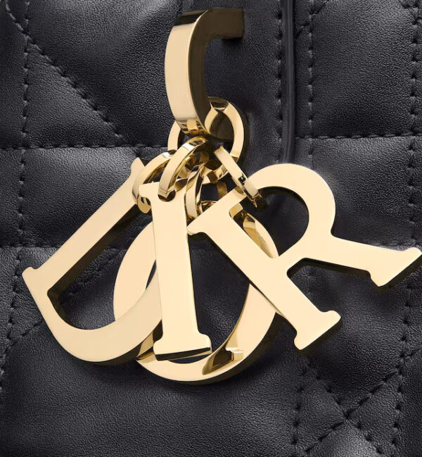 MEDIUM DIOR TOUJOURS BAG - Image 2