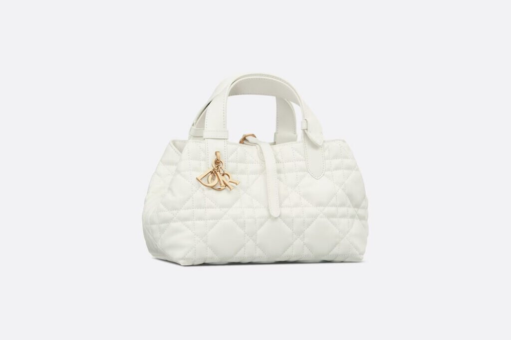 SMALL DIOR TOUJOURS BAG
