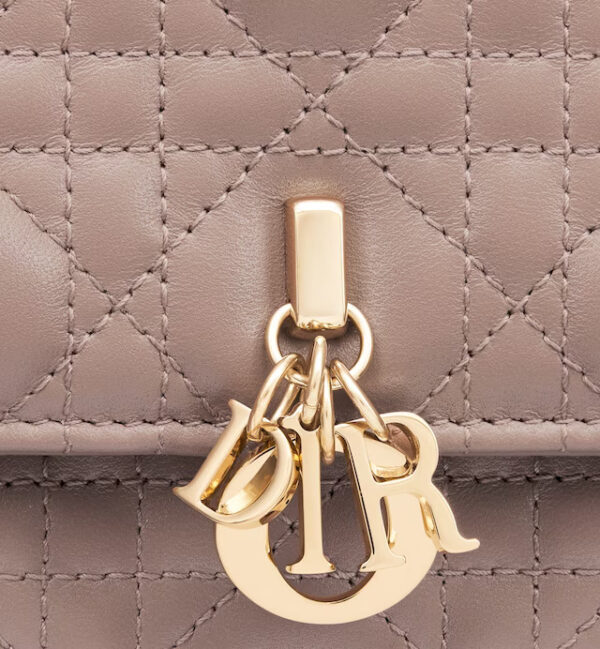 MISS DIOR MINI BAG - Image 25
