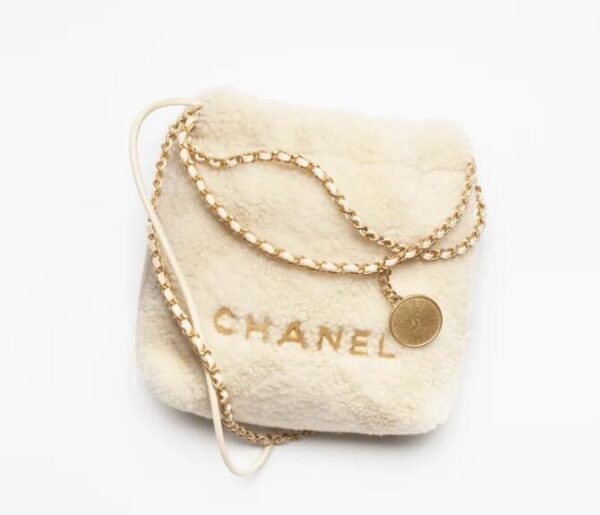 CHANEL 22 Mini Handbag AS3980 - Image 13