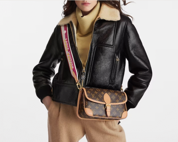 LV Diane M46049 - Image 2