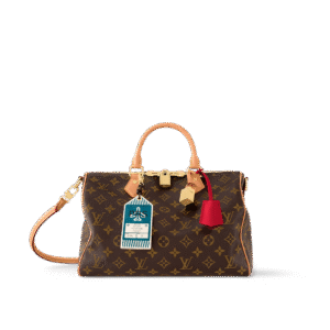Louis Vuitton Speedy Soft 30 Crafty M11945