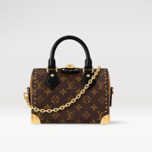 Louis Vuitton Speedy Trunk 20