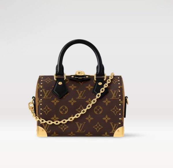 Louis Vuitton Speedy Trunk 20