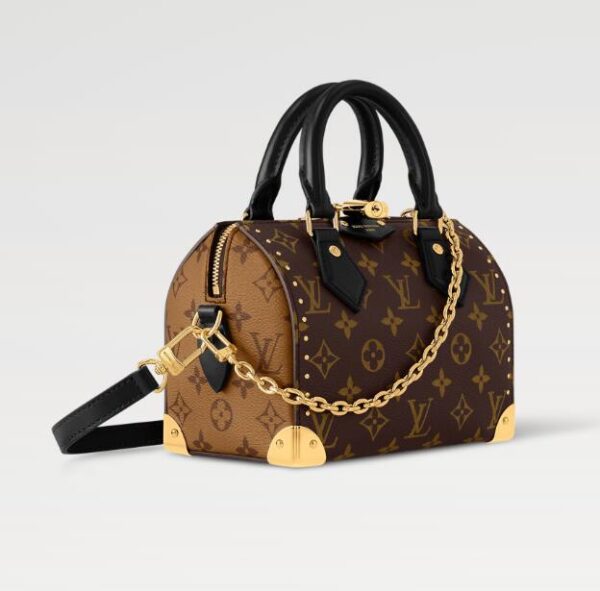 Louis Vuitton Speedy Trunk 20 - Image 3
