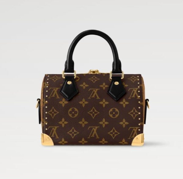 Louis Vuitton Speedy Trunk 20 - Image 5