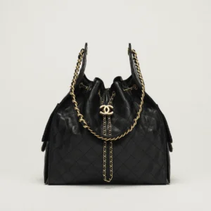 CHANEL 25 Medium Handbag AS5311