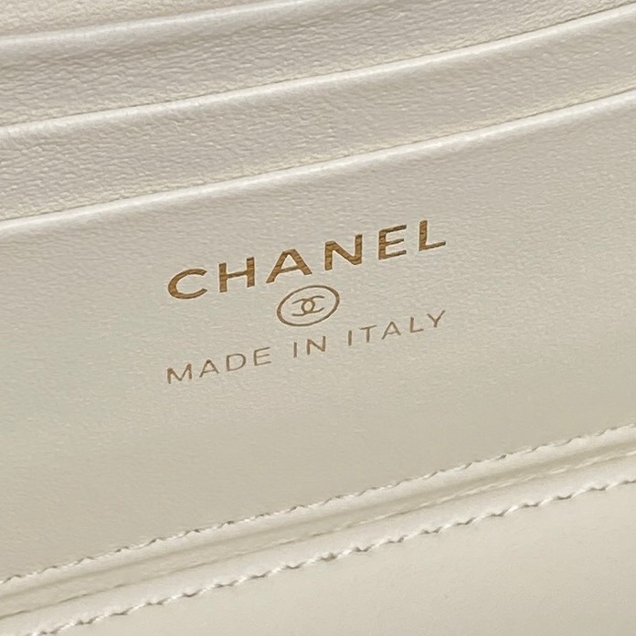 CHANEL Long Vanity with Chain AP4842 - Image 23