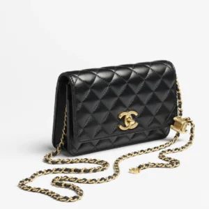 CHANEL Wallet on Chain AP3938