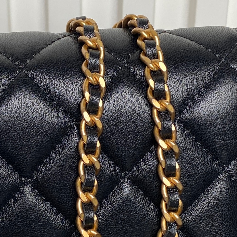 CHANEL Wallet on Chain AP3938 - Image 6