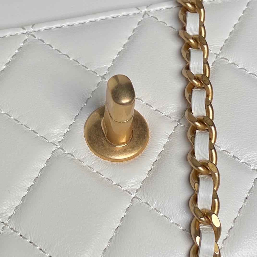 CHANEL Wallet on Chain AP3938 - Image 14