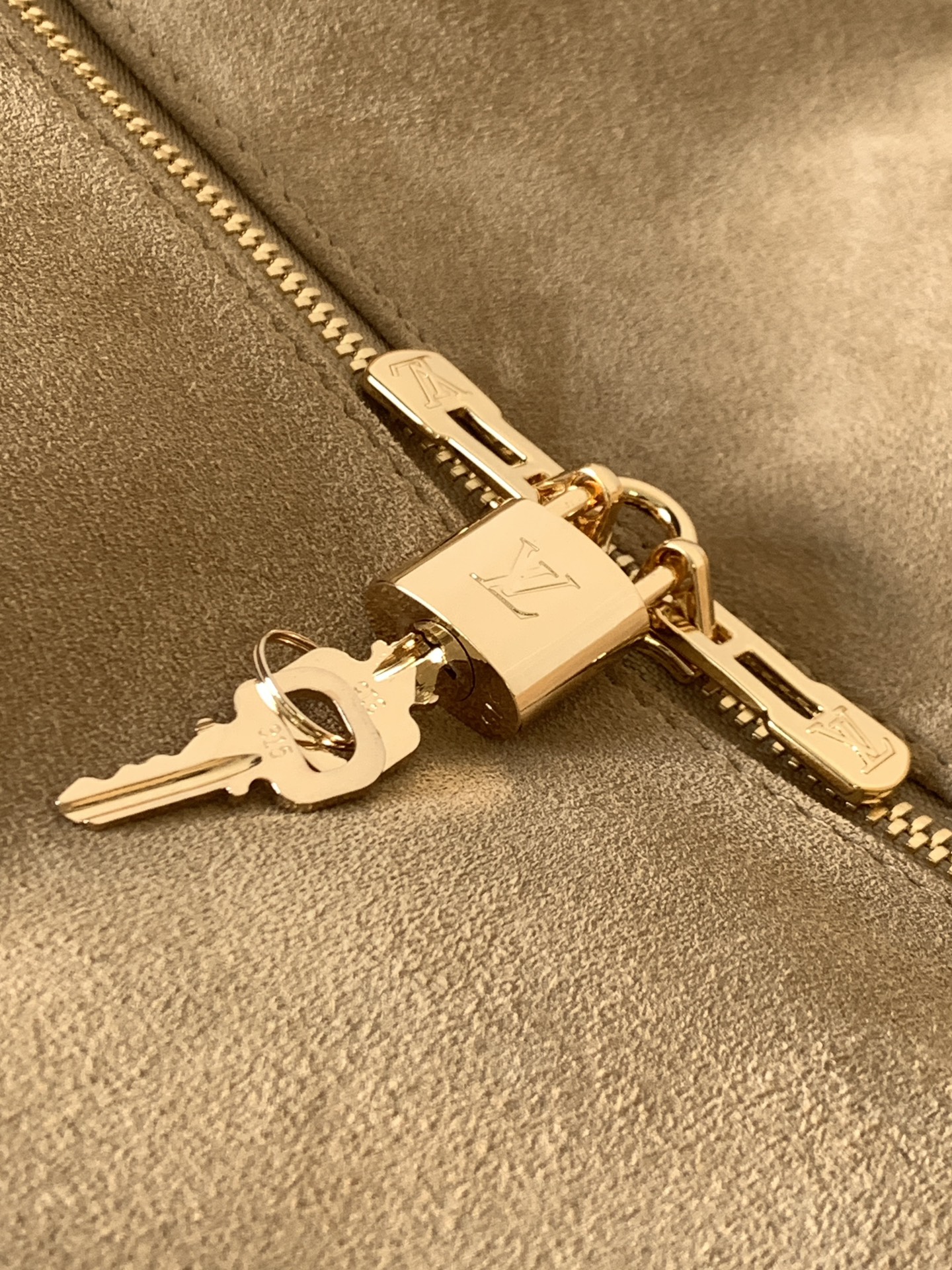 LV Express Travel - Image 6